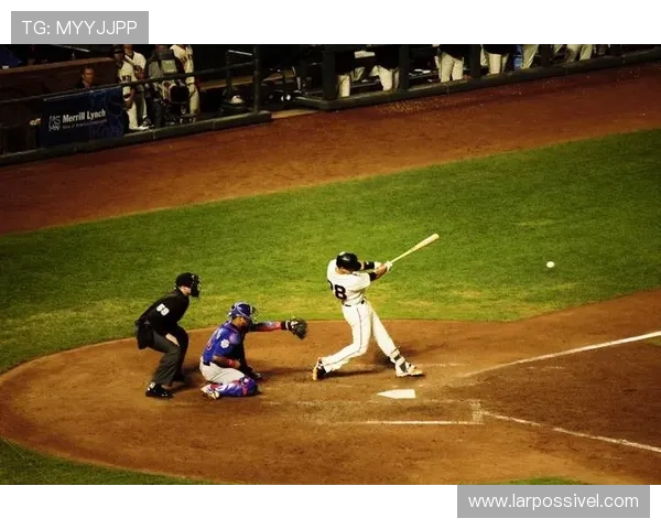 尊龙新版人生就是博,探索人生每一步的无限可能