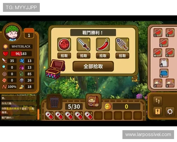 凯时尊龙官网app功能全面解析，丰富的游戏资源与便捷的操作界面满足不同玩家的多样需求